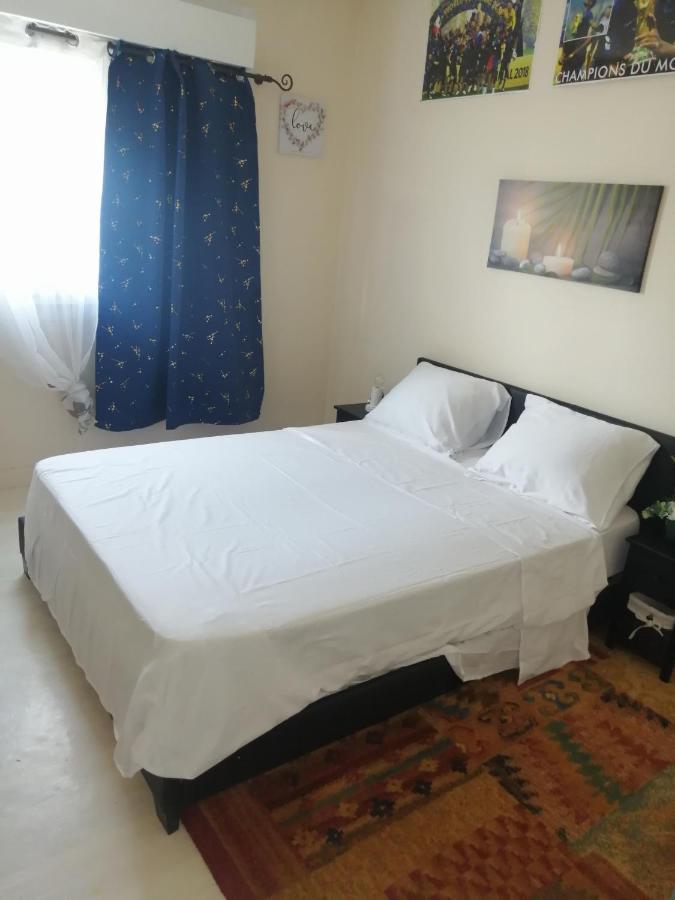 Chambre Dans Appartement A 尼奥尔 外观 照片