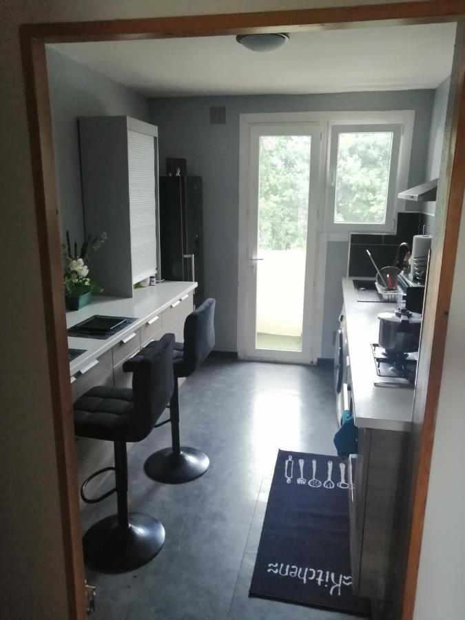 Chambre Dans Appartement A 尼奥尔 外观 照片